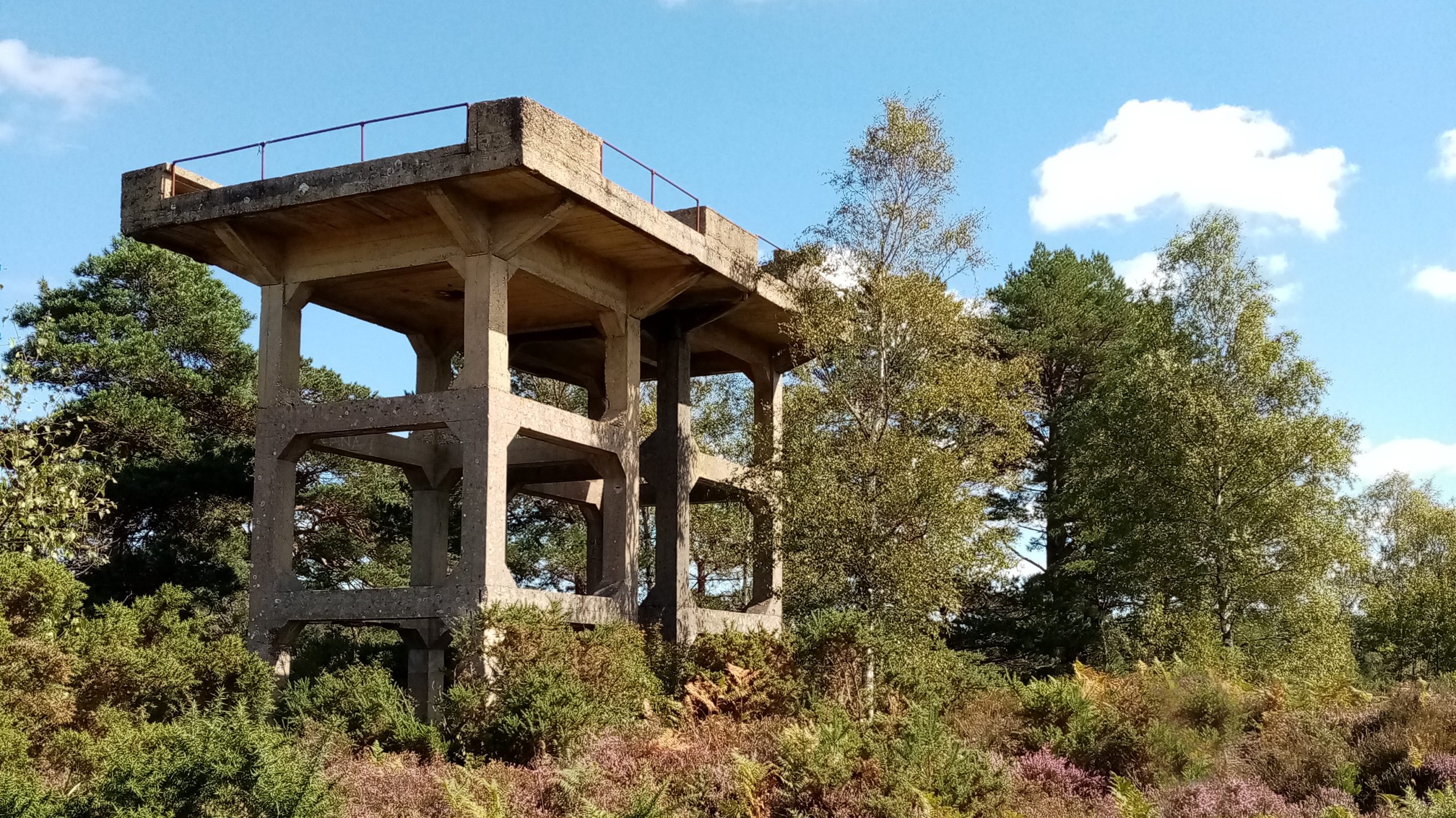 Why Intentional Communities Fail — And Why It’s Always About Money